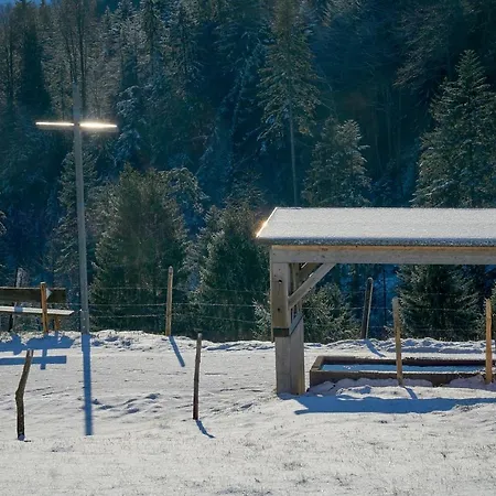 Unser Vorsaess - Geisskopf *